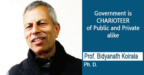 Government is CHARIOTEER of Public and Private alike